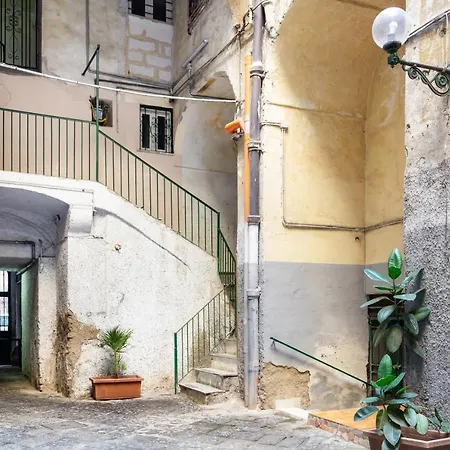 Oui Tree Apartment Naples Exterior photo