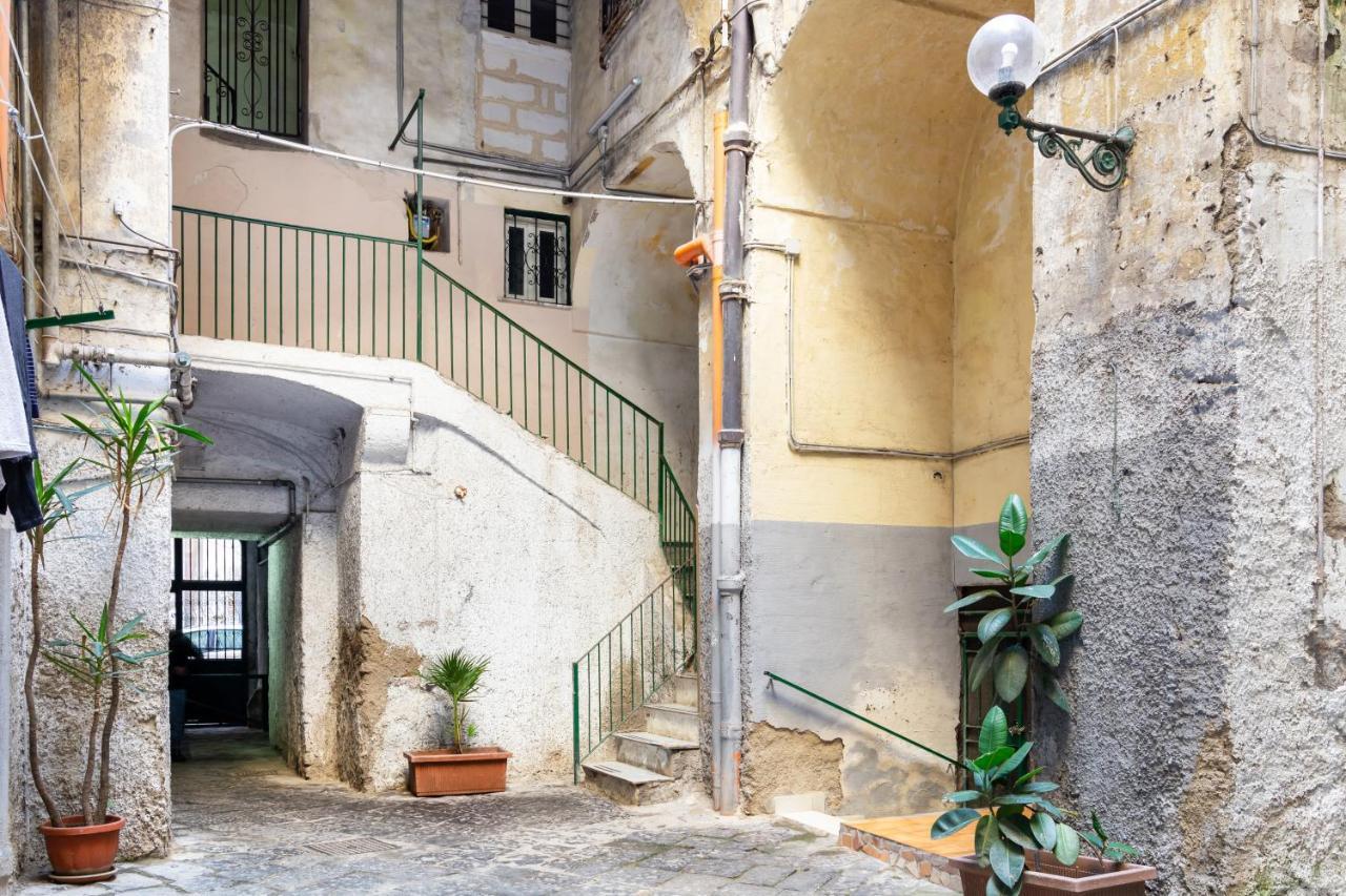 Oui Tree * Naples